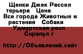 Щенки Джек Рассел терьера › Цена ­ 30 000 - Все города Животные и растения » Собаки   . Удмуртская респ.,Сарапул г.